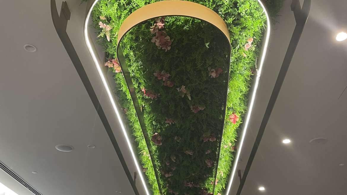 Mouchão-Restaurante